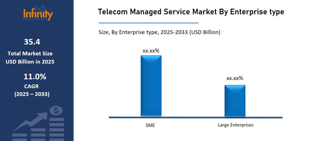 Telecom Managed Service Market By Enterprise