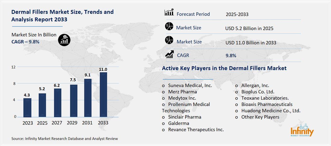 Dermal Fillers Market Overview
