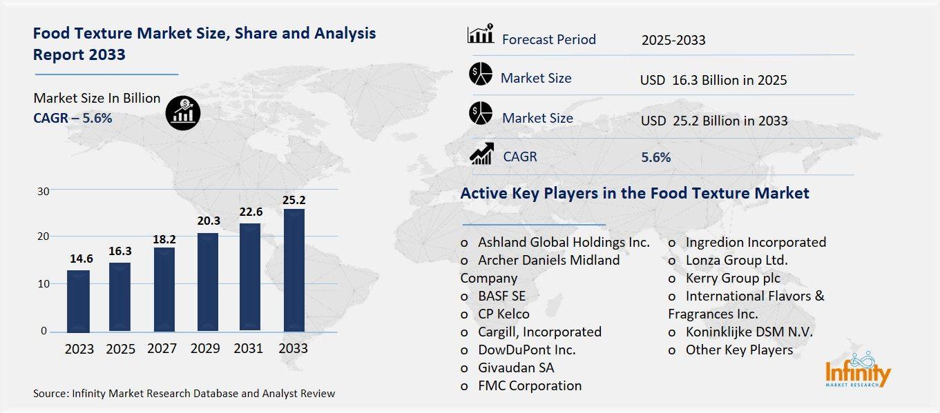 Food Texture Market Overview